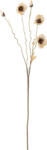 Bloomingville Floare artificală Bloomingville Poppy bej (82061478)