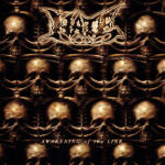 Hate Awakening of the Liar