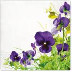 PAW papírszalvéta 33x33 cm 3 rétegű 20 lap/csomag Árvácskák