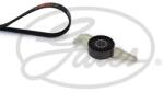 GATES Set curea transmisie cu caneluri GATES Micro-V® K055PK1113 (K055PK1113)