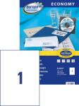 Avery Zweckform Avery Europe100 univerzális etikett 210 x 297 mm (ELA027)
