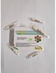 SOLAREX Evalia 10ml (6420529116985)