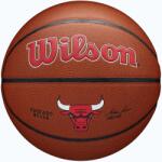 Wilson Minge de baschet Wilson NBA Team Alliance Chicago Bulls brown mărimea 7