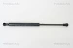 TRISCAN Amortizor capota TRISCAN 8710 11110 (8710 11110) - fixbox