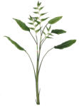 Bizzotto Set 4 plante artificiale verzi 43x12x172h (0170674)