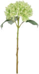 Bizzotto Set 12 Hortensii artificiale verzi 22x22x47 cm (0170633)