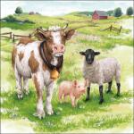 Ambiente Farm animals papírszalvéta 33x33cm, 20db-os