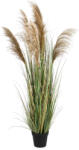 Bizzotto Pampas artificial in ghiveci 80x170 cm (0173021)