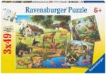Ravensburger - Puzzle Animals in the countryside, in the zoo and in the forest - 40 - 99 piese