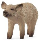 Schleich Animal - Purceluș mangalița (OLP102614893) Figurina