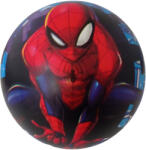 Amijoc Toys Spidermann meselabda 24cm (093940)