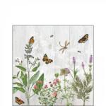 Ambiente Herb Garden papírszalvéta 25x25cm, 20db-os
