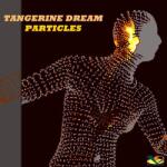 BERTUS Tangerine Dream - Particles (2lp) (t02761)