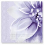 Procos Purple Dahlia, Dália szalvéta 20 db-os 33x33 cm PNN93594 (PNN93594)