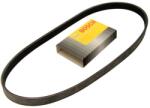 Bosch Curea transmisie cu caneluri NISSAN PRIMERA Break (WP12) (2002 - 2016) BOSCH 1 987 948 437