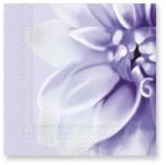 Procos Purple Dahlia, Dália szalvéta 20 db-os 33x33 cm (PNN93594)