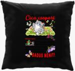 Los Polos Dadus néninek Zsibongó Cica csoport névvel párna