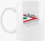 Los Polos HUNAF MiG-29 bögre