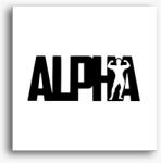Los Polos Alpha vászonkép