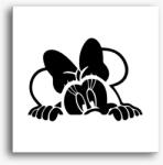 Los Polos Minnie vászonkép