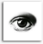 Los Polos Dotted eye vászonkép