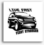 Los Polos Live fast 5 vászonkép