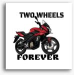 Los Polos Two Wheels Forever vászonkép