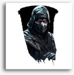 Los Polos Mortal Kombat Noob Saibot 2 avatar vászonkép