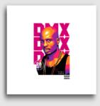 Los Polos DMX vászonkép