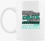 Los Polos Egyenlőnek születik szakács bögre