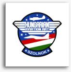 Los Polos Hungarian Aviation Art Patch vászonkép