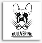 Los Polos Bullverine vászonkép