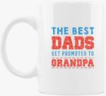 Los Polos promoted grandpa bögre
