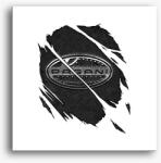 Los Polos Repedezett Pagani vászonkép