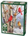 Cobble Hill 1000 db-os puzzle - Winter Birds (40248) (40248)