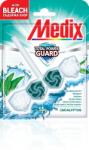 Medix WC TOTAL POWER GUARD Eucalyptus (Bleach) 0.55гр (49382)