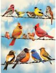 Cobble Hill 45046 - Birds on a Wire - 500 db-os puzzle (45046)