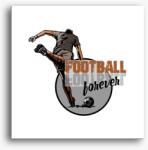 Los Polos Football forever vászonkép