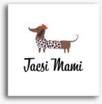 Los Polos Tacsi mami vászonkép