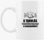 Los Polos A tanulás veszélyezteti a szabadidőmet bögre