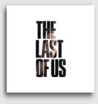Los Polos The Last of Us felirat - Ellie vászonkép