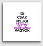 Los Polos Gyógypedagógus vászonkép