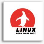 Los Polos Linux born to be root vászonkép