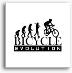Los Polos Bicycle evolution vászonkép