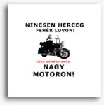 Los Polos Kemény Srác vászonkép