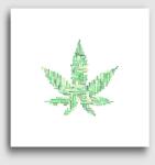 Los Polos Cannabisos vászonkép