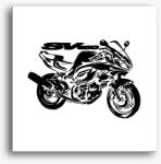 Los Polos Suzuki SV vászonkép