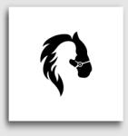 Los Polos Lovas szerelem vászonkép