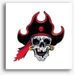 Los Polos Pirate skull 7 vászonkép