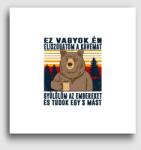 Los Polos Kiégett medve vászonkép